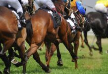 Racing the community cup