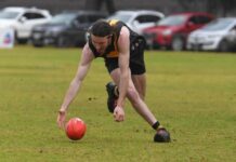 Tigers, Suns chase success