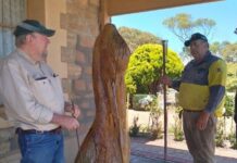 Feathered friends new home