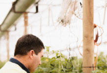 Farming toward the future