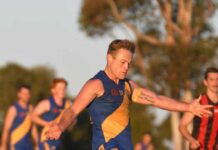 Bluds look to tame Cats