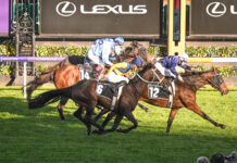 The Map chasing cup glory