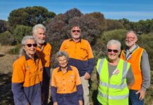 Recognising our volunteers