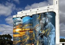 Lameroo silos paint a picture