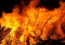 Preparing a bushfire plan