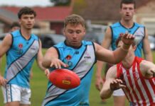 Bluds look to tame Tigers