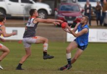 Claws out for Cats, Eagles