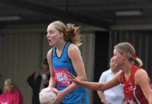 Sun down, the cats prowl