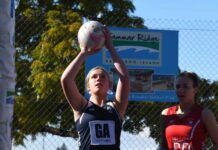 Roosters crow against Cats