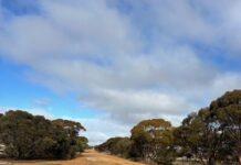 Connections built on roads