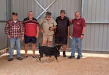 Men’s shed funding denied