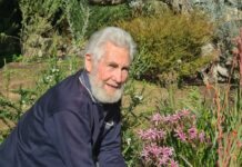 Sowing seeds for a lifetime