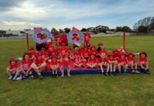 Volunteers wanted, needed