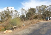 Advocating for dump point