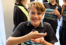 Discover who’s been seen