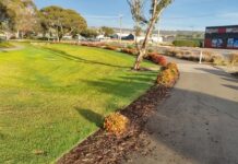 Plea to take more care