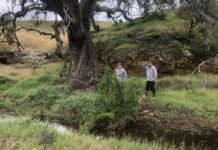 Flow effects in the river