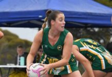 Claws out for cats, eagles