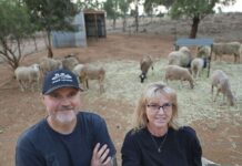 Creating a ‘furever’ home