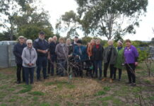 Green thumb fun for club