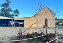 Creating a hub for activity