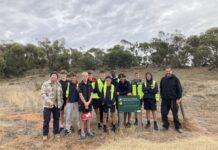 Students lend helping hand