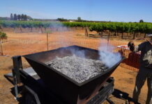 Mallee’s biochar workshop