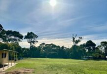 Johnstone dog park set to be closed for number of upgrades