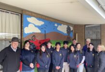 Brightening up for Lerwin