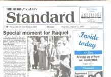 Brinkley UFO fires in 1995