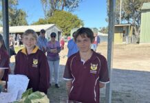 Enterprising students