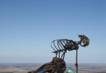 One special day as Palmer sculptures on display for SALA