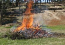 Phasing out of domestic burning permits in Murray Bridge