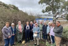 More help for river turtles