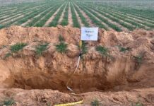 Maximising crop yields