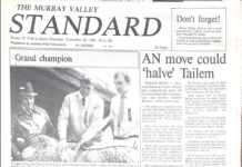 ‘Bridge’s pothole plights