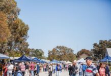 Spring into Mt Pleasant