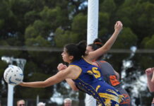 Suns shine on quest to final