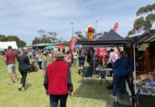 Roll up for a special show