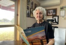 Cat problems, pets or pest