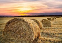 Supporting our producers