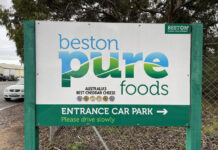 Beston’s future concerns