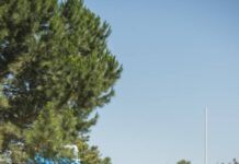 Set for ‘Bridge swim season