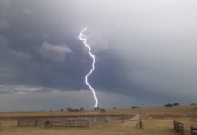 Windy, wild thunderstorm