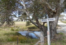 Catch up on Marne Saunders health report