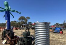 Winners named for show