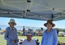 Swapping fun in Meningie