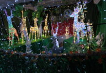 Tailem Bend family favourite is back