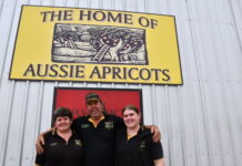 Dry season causes dilemma