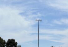 Mackenzie’s work with bat, ball leads Falcons to victory